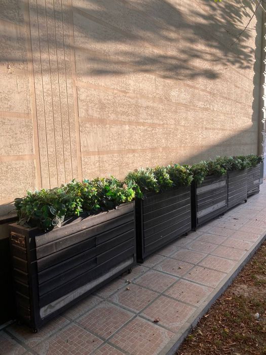 Декоративные заборные цветы