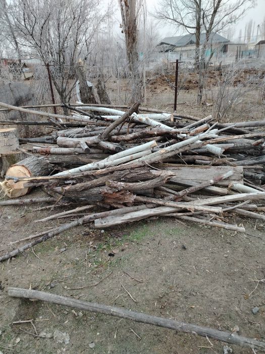 Дрова отдам дара. Самовывоз