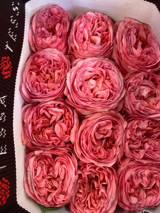 Пионовидные розы, пионы, розы