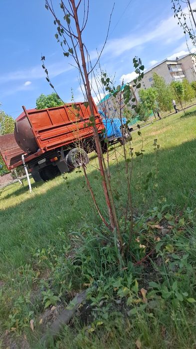 Газ 53  самосвал