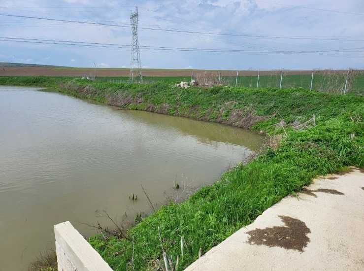 Продава се Парцел в с. Чернево, Област Варна - 14098 кв.м за 11 €/кв.м - Снимка #4