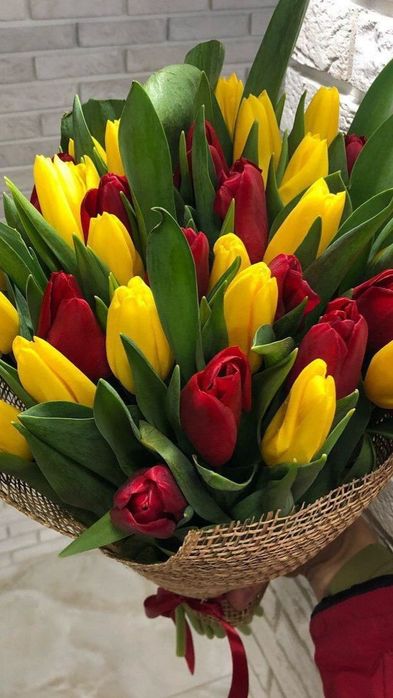 Тюльпаны оптом и розница