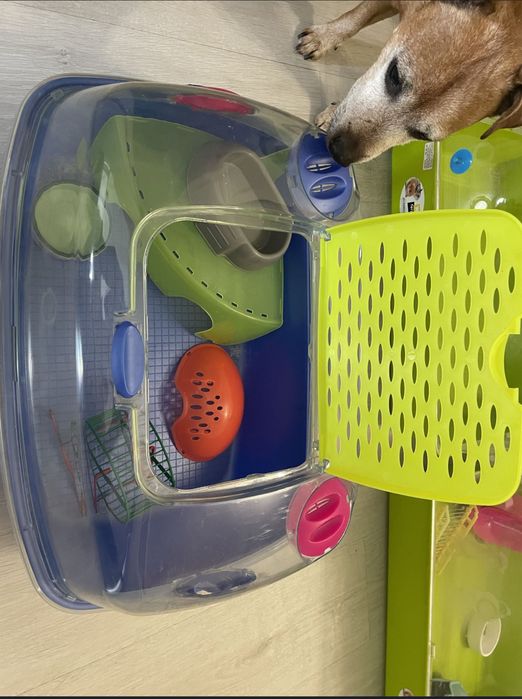 Cușcă, cutie, carcasa L: L 50 x l 34 x î 31,5 cm