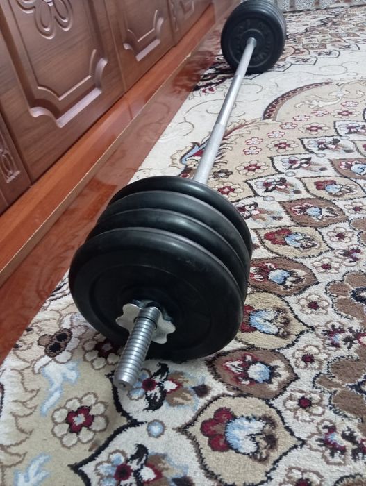 Штанга заватской