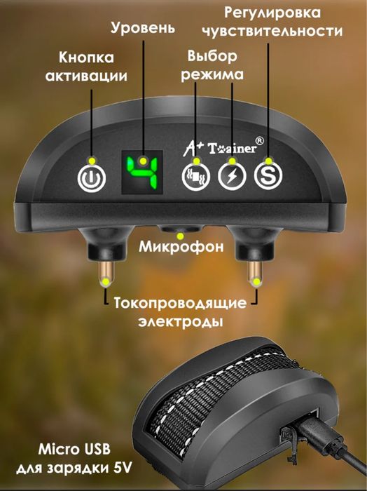 Ошейник электрический для собак