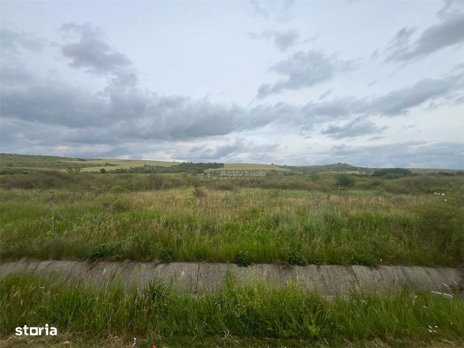 Lugoj, Teren 16.800 Mp., Cu deschidere  de 80 Ml., La Centura Ocolitoa