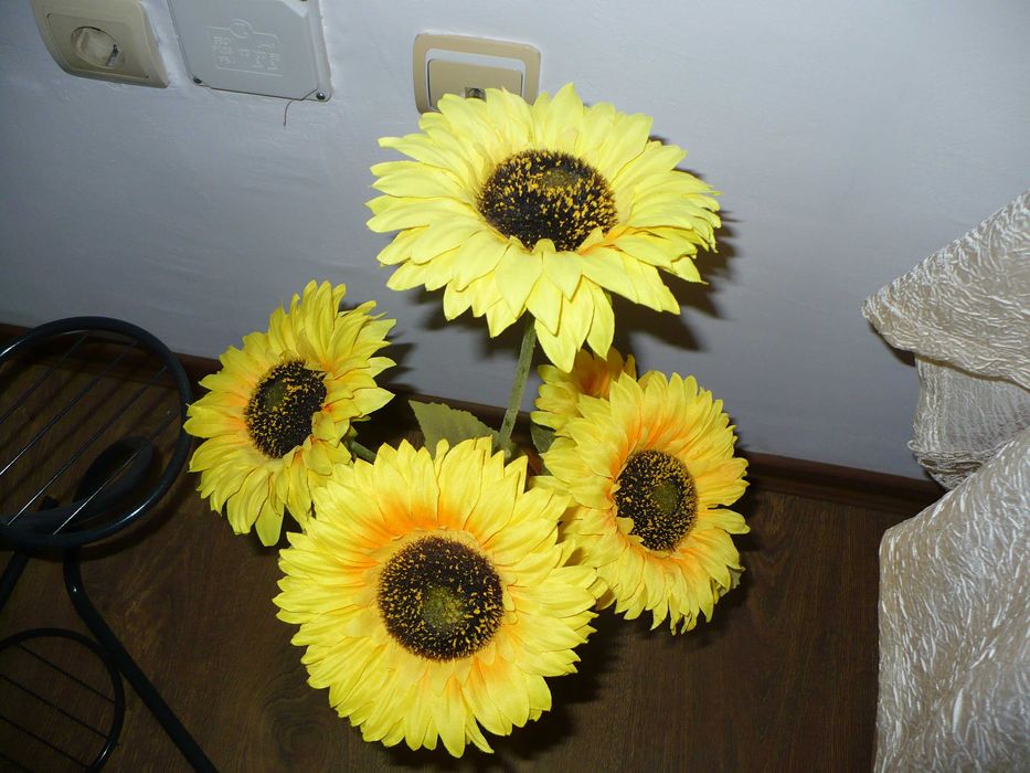 Panasonic Lumix DMC-LZ7 7.2МРх