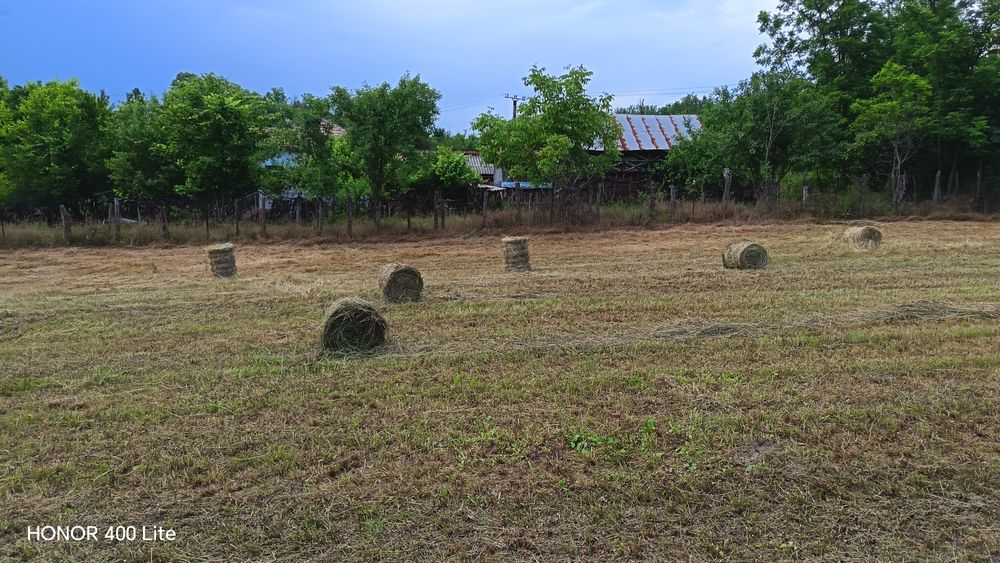 Vând baloti fân rotunzi, mici, 20 kg.