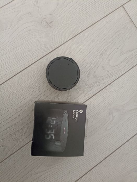 Алиса  бағасы 43000