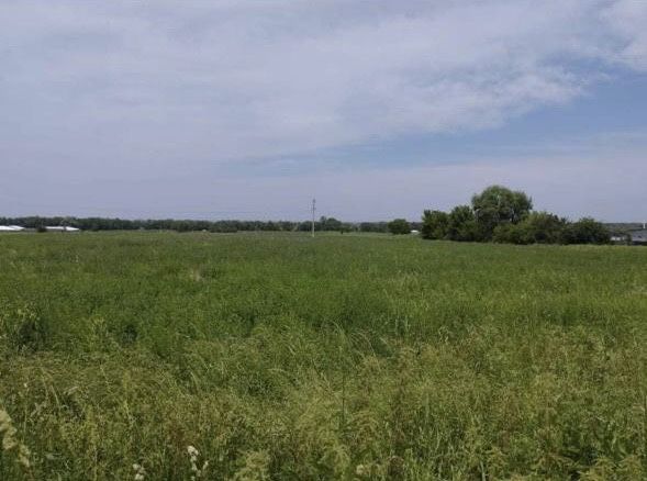 Поля на продажу