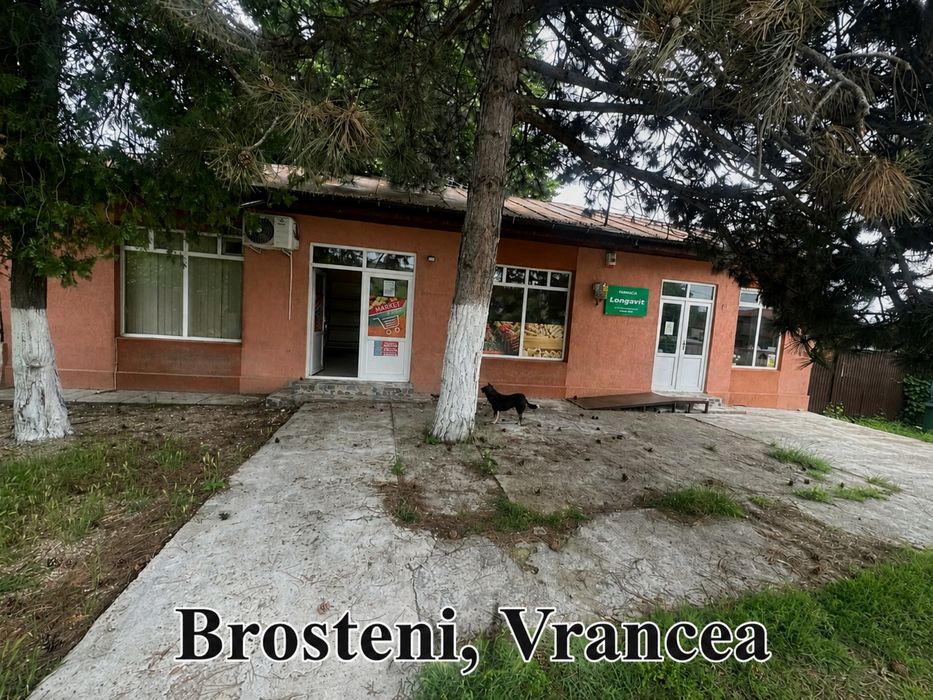 Spatii de inchiriat Vrancea