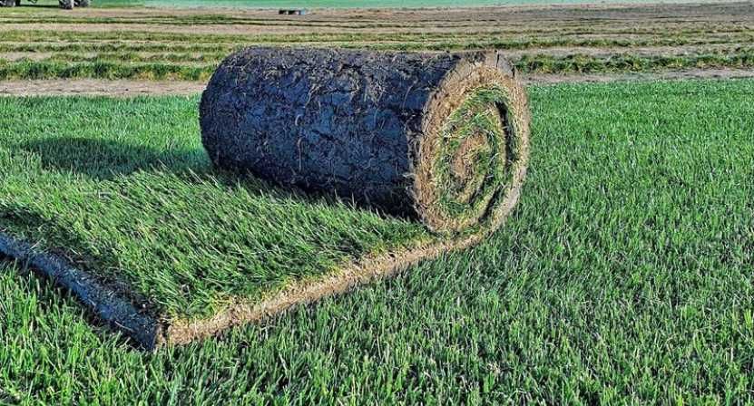 Gazon Rulou, Sisteme de irigare