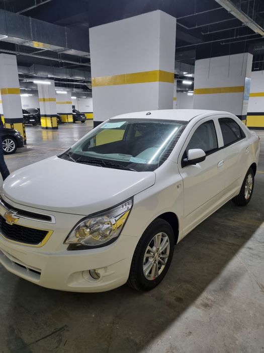 Cobalt 2025/2026 pazitsa masla