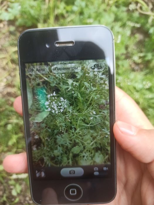 Iphone 4c eski versiya