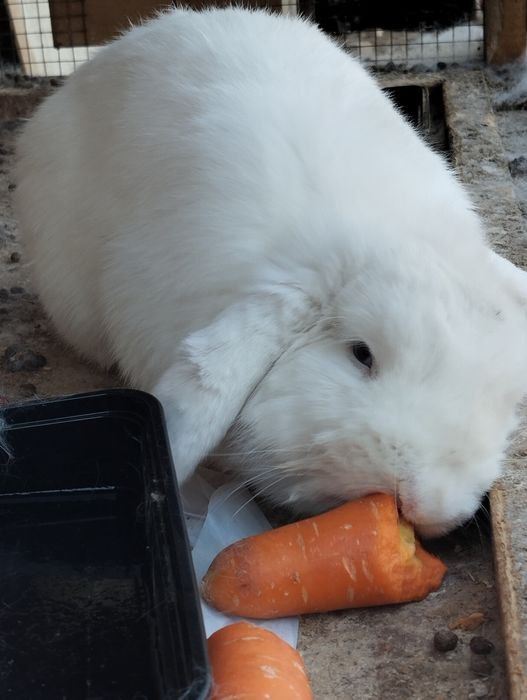 Qiz eshik ortida jinsiy aloqani kuzatib, onanizm bilan shugullanadi.