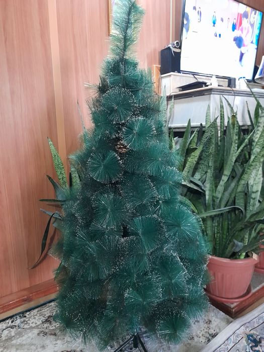 Archa 1.5m          .