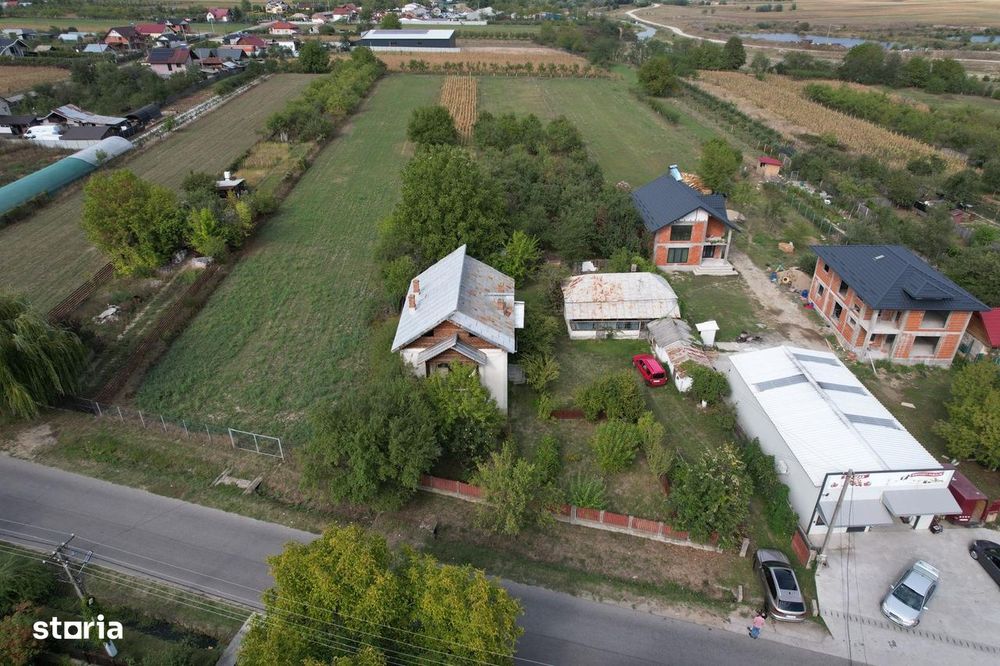 Casa - Vila | Purcareni Micesti Arges | S+P+1+M| teren 4900mp | Livada