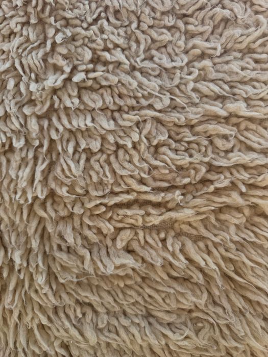 Родопски Китеник