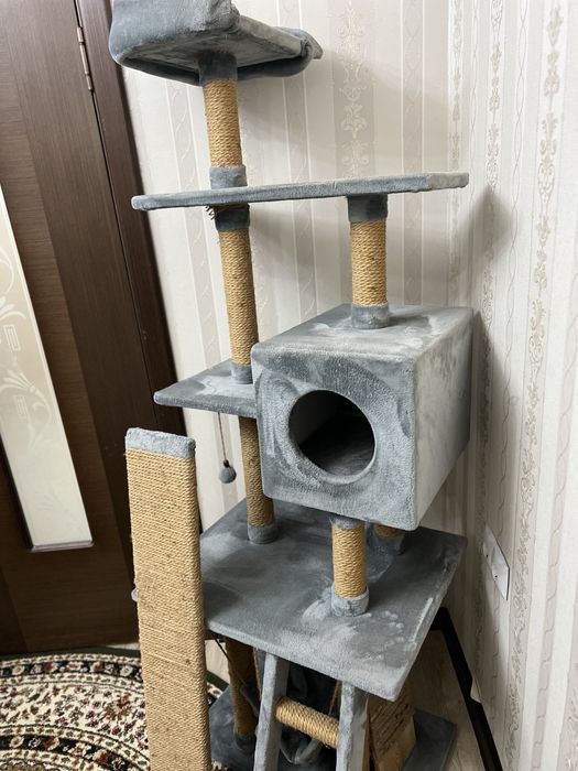 Супер Кошкин дом