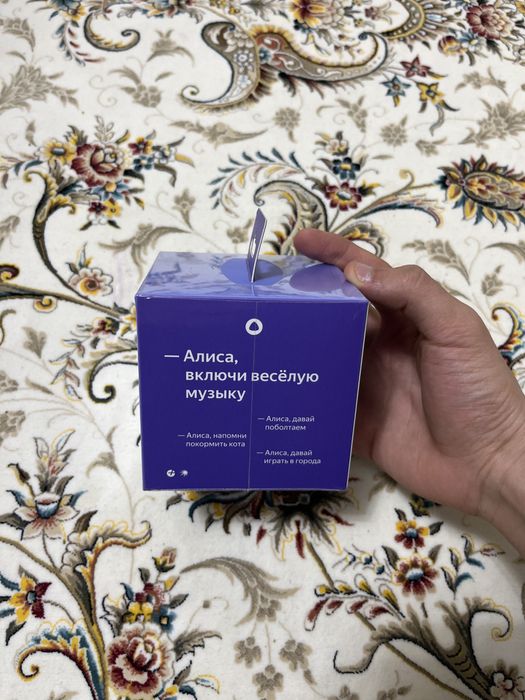 алиса станция новая