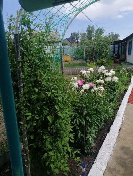 Продам дачу в СО Железобетонщик