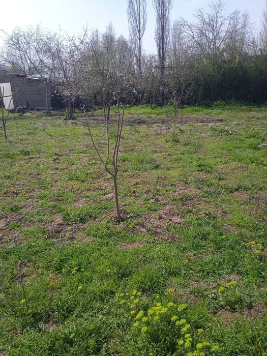 Ер сотилади яхши