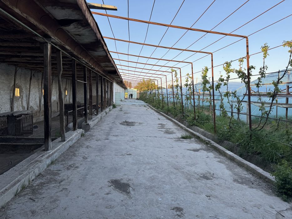 Yangiyol tumanida 65 sotix tayyor ferma va teplitsa sotiladi