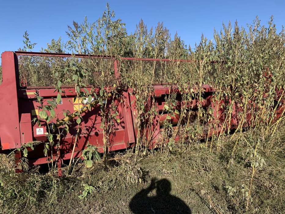 Продам семечную сжадку