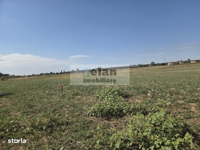 Ciolpani - Caro Events, Padure, 6800 mp, Padure, 58 ml deschidere
