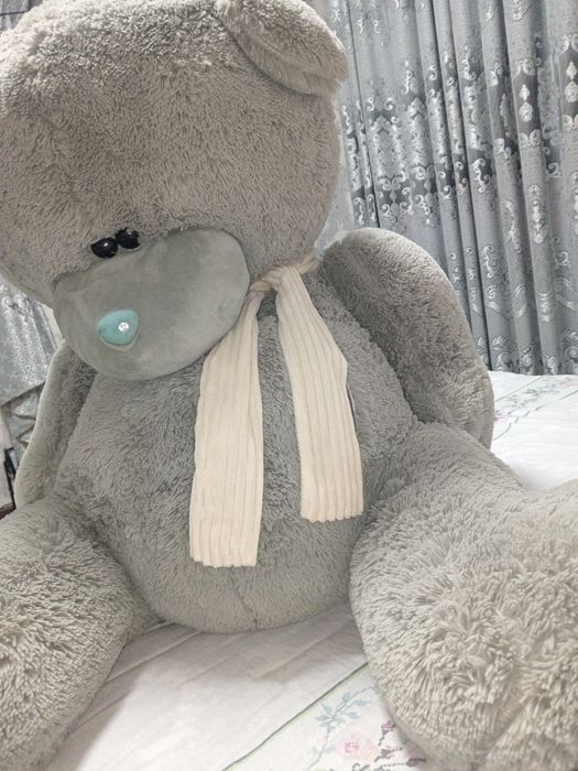 Teddy ayiq yangi hali oladiganlar aloqaga chiqsin