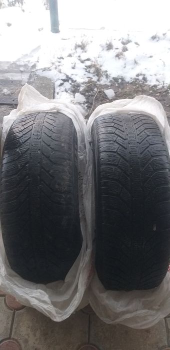 Зимный балон Матрих