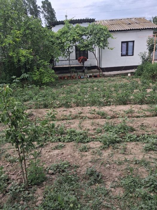 Toy tepa hovli 2.5 sotix