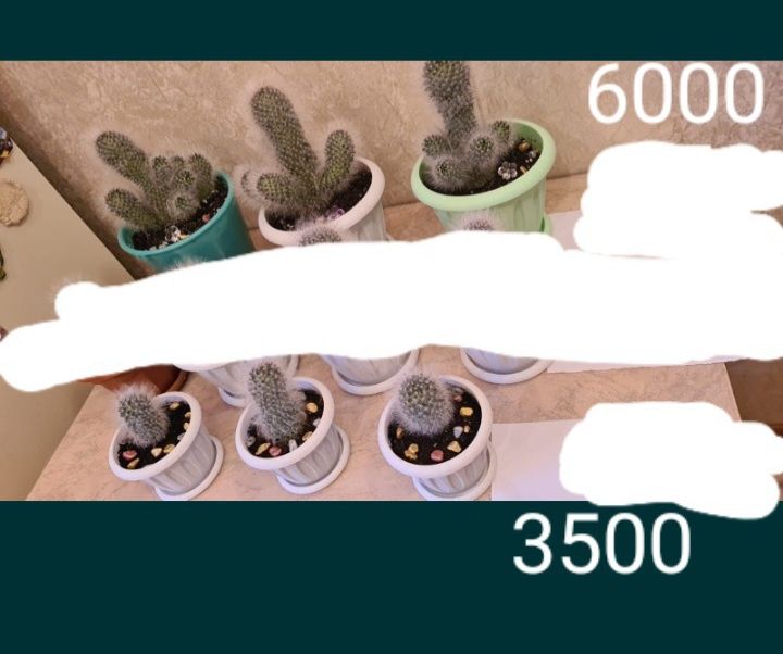 Цветы живые и искусственные