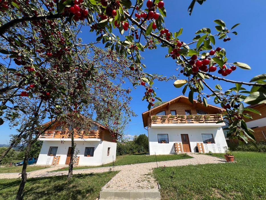 Domeniu cu Doua Chalet-uri in Bran/Brasov cu ciubar, sauna si foisor.