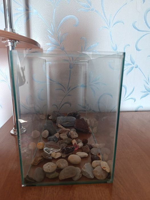 Продам аквариум . На 10 литров.