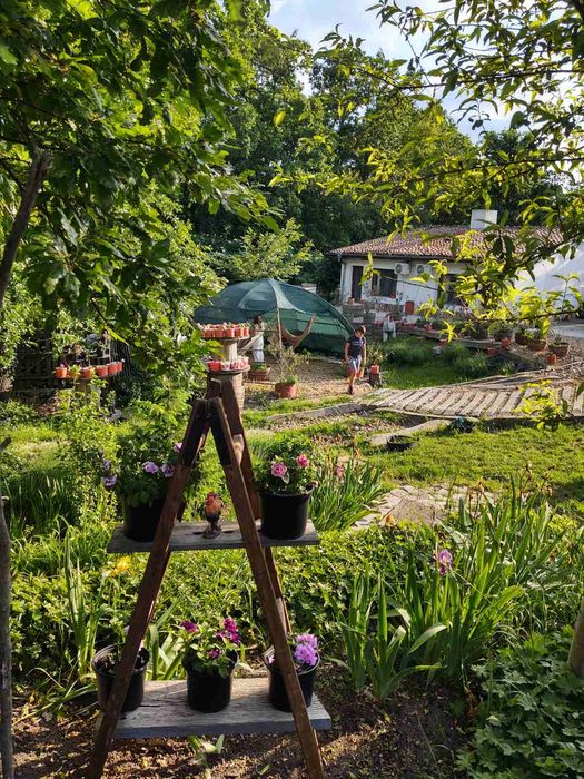 Нощувки, къщи за гости