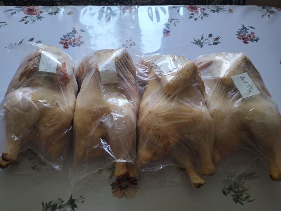 Домашняя курицаа