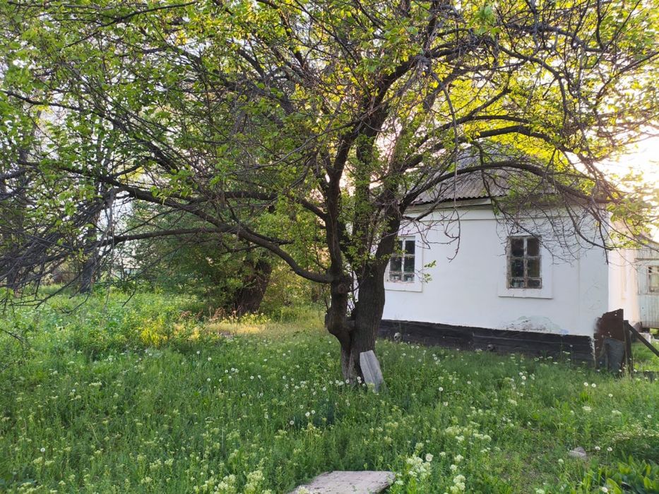 Продам дом с участком 72 сотки