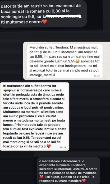 Meditații Limba Română/Sociologie  - bac