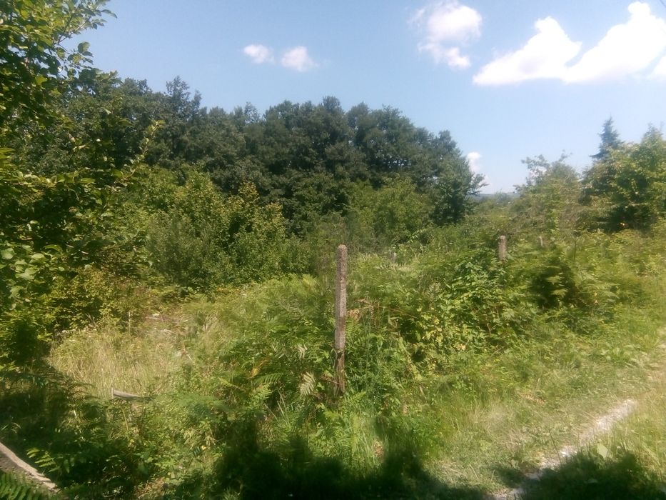 Продава се Земеделски имот в Габрово, Шенини -  кв.м за 17 €/дка - Снимка #4