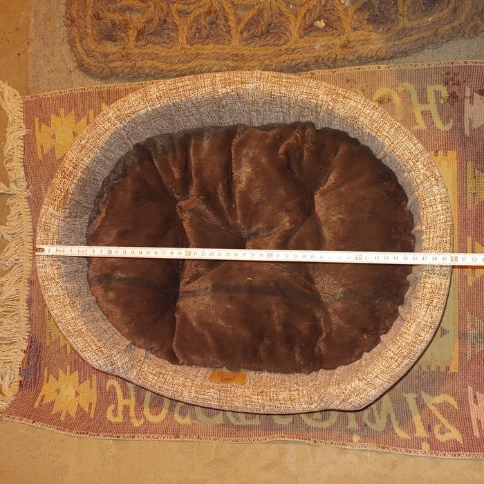 Culcus pisici sau caini