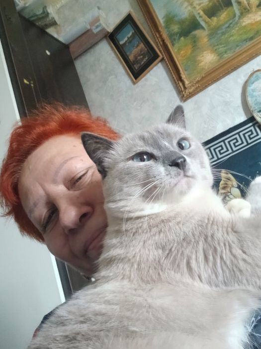 Прекрасный котик,дарю