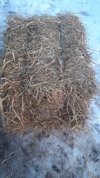 De vanzare baloti de paie pret 7 lei balotu