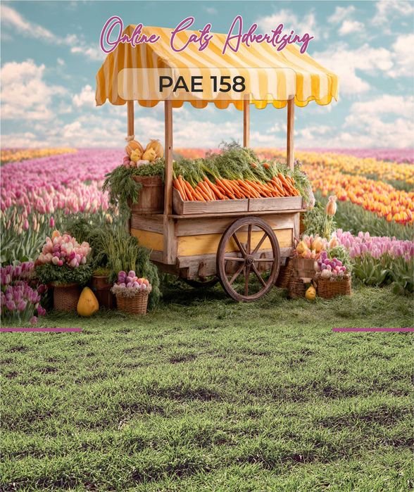 Fundaluri foto pentru Primăvară/Paște