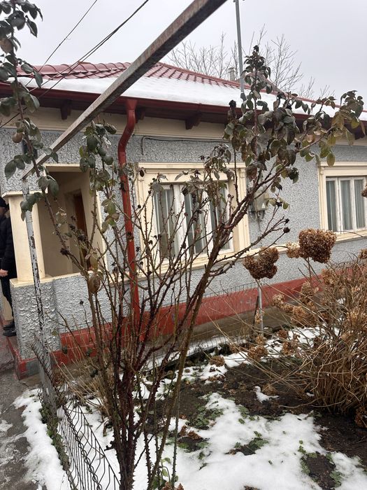 Casa de vanzare Medgidia Pret Negociabil!