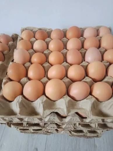 Домашние яйца вкусные