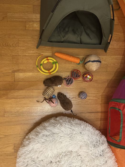 Вещи за домашен любимец за котка, коте, котки