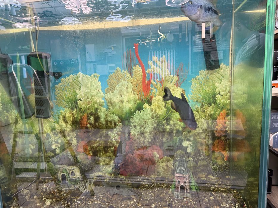 Аквариум большой с тумбой