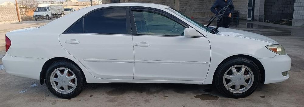 Титан диск балонымен