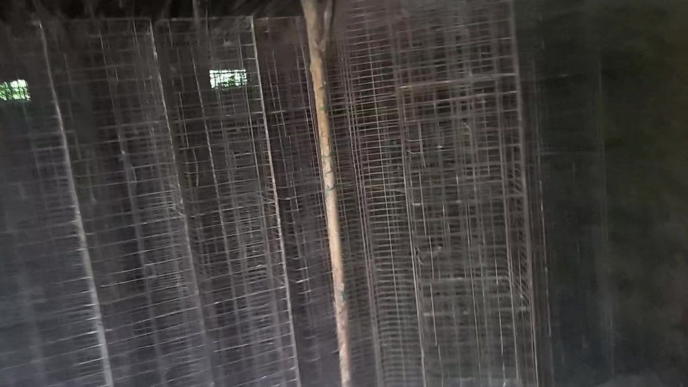 Товук сетка сотилади